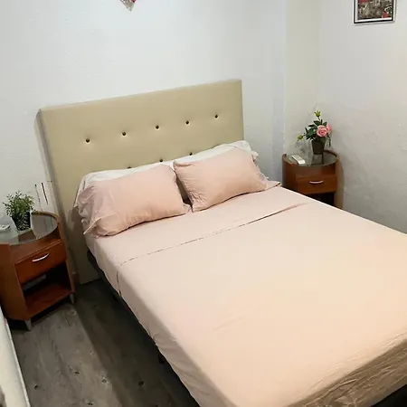 Hostel Mayor *